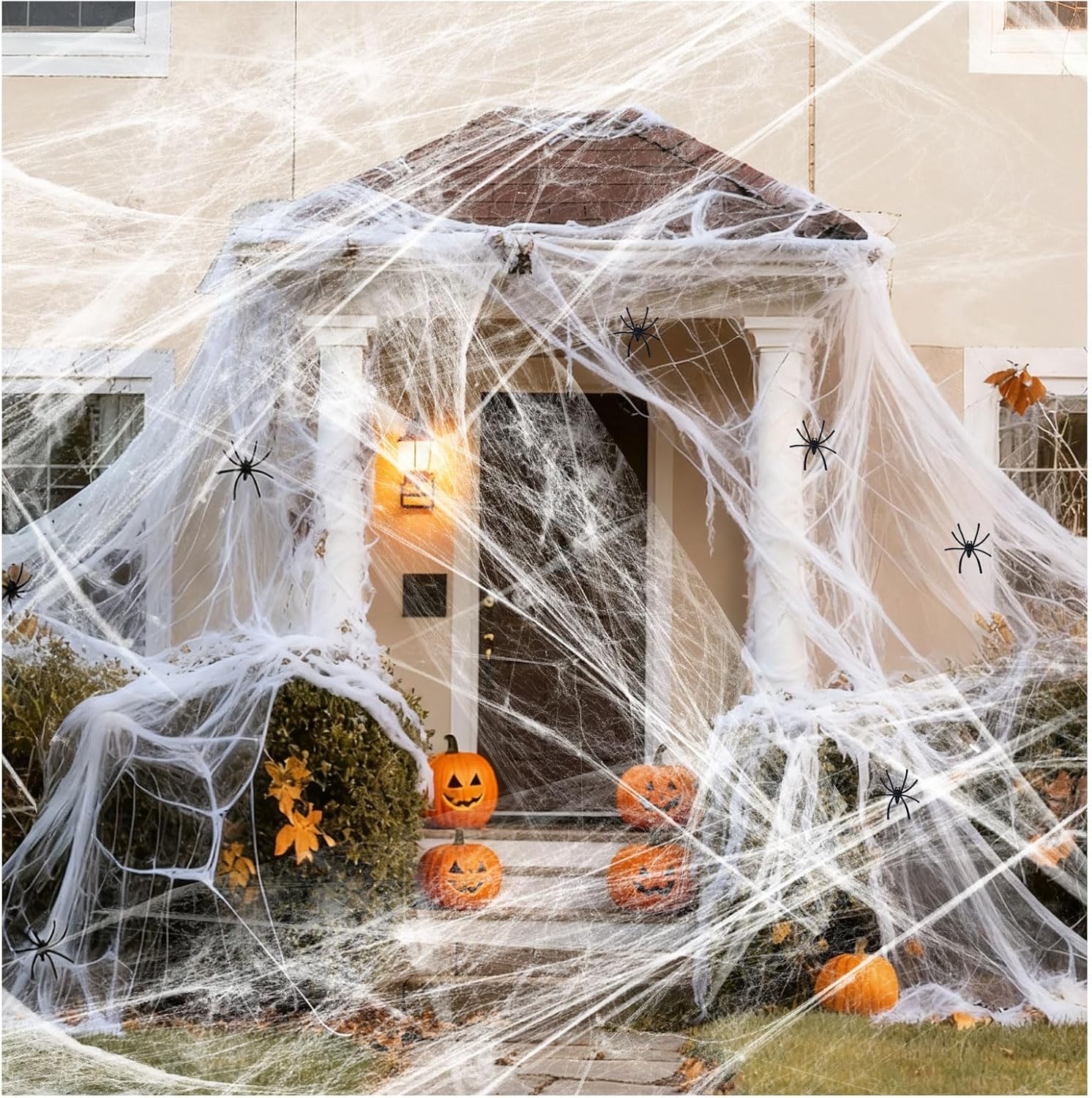 Telaraña y Arañas Falsas